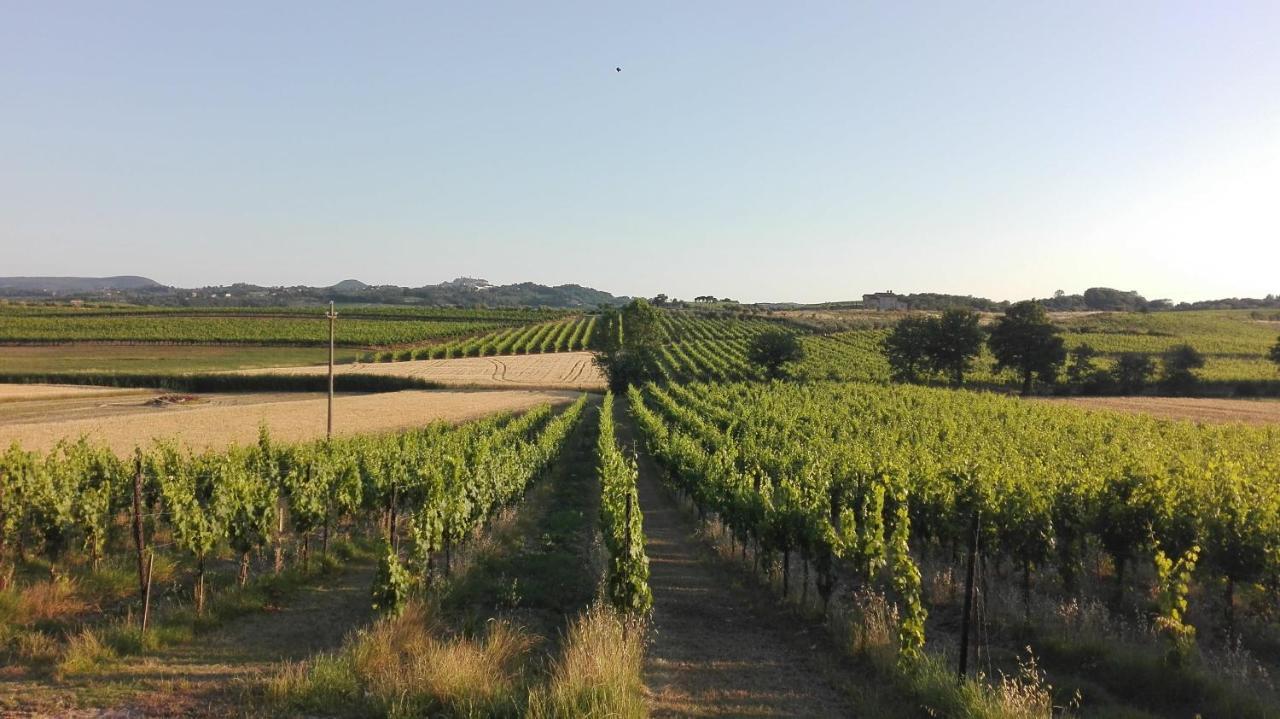Agriturismo La Chiesina Abbadia di Montepulciano Eksteriør bilde